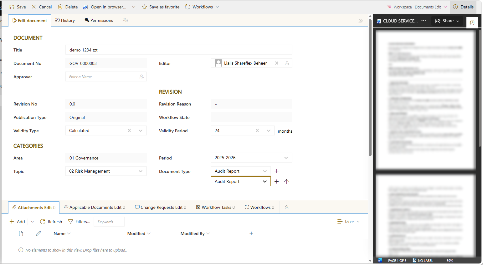 The document form with metadata adjusted to the client: document number, revision, validity, area, period, topic and document type, with a preview on the right.